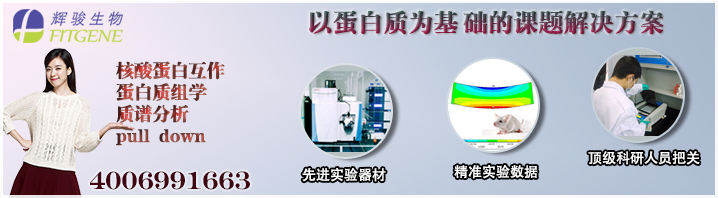辉骏生物:蛋白质组学实验技术