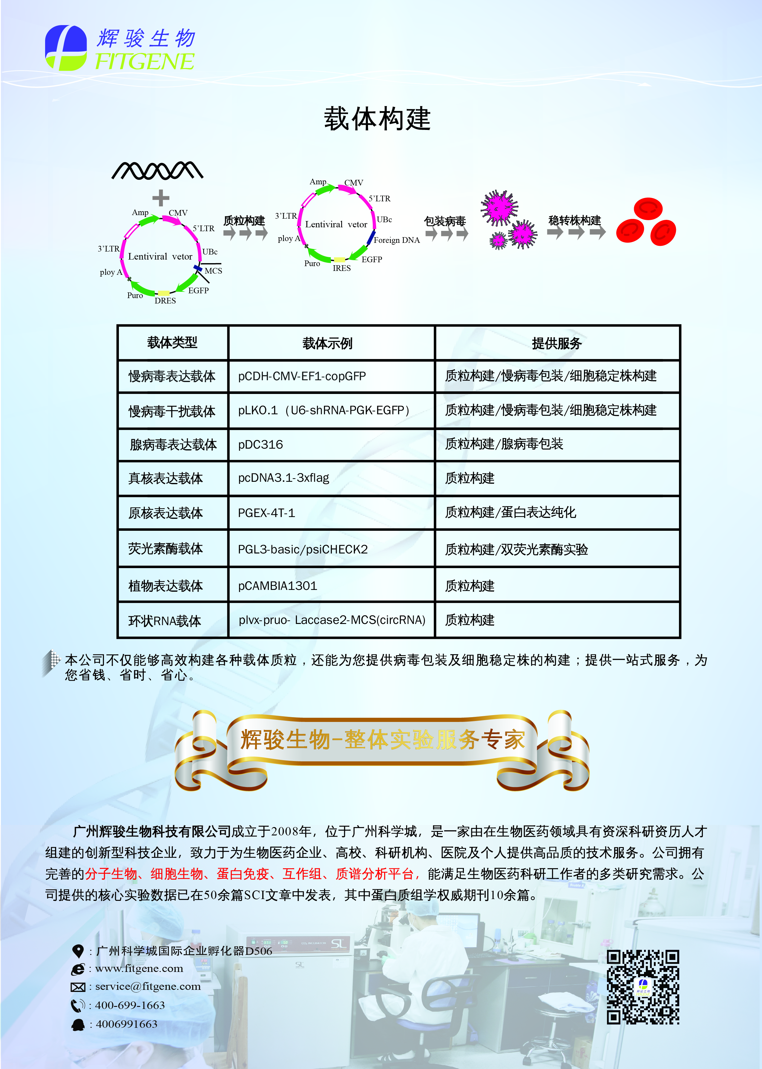 辉骏生物:载体构建服务内容