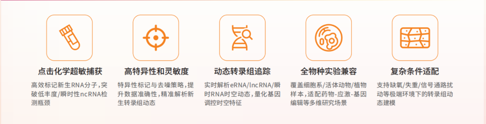 STARclick新生转录本捕获和建库试剂盒的产品特点