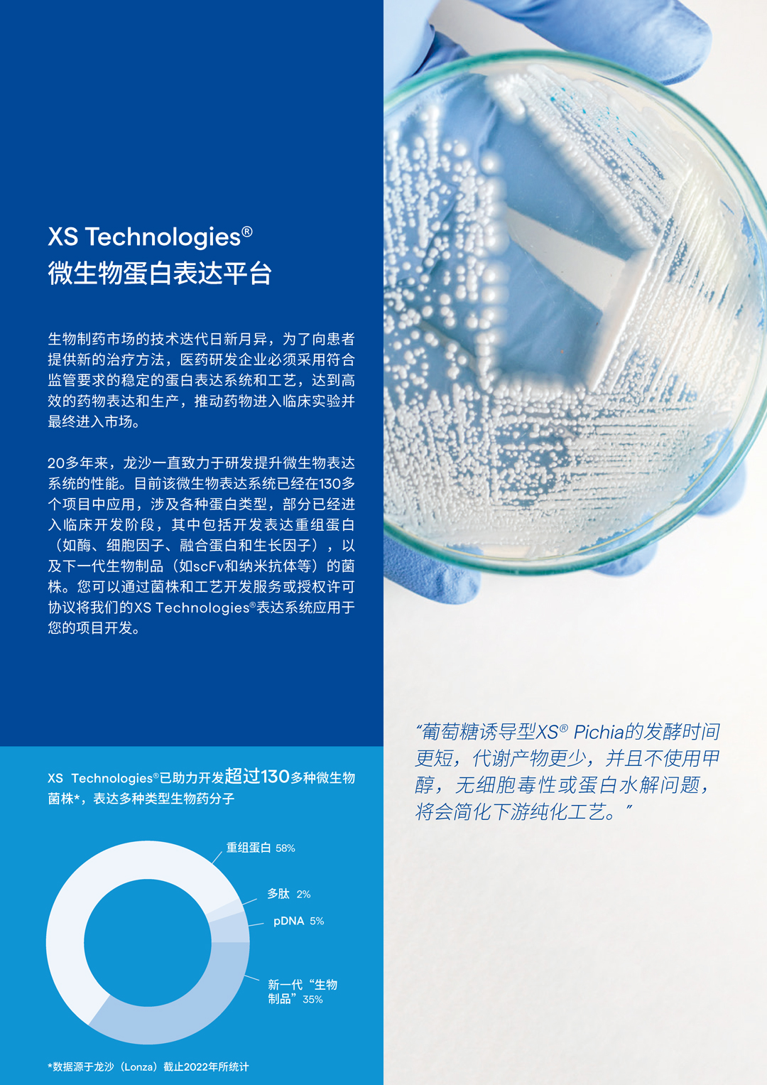 龙沙Lo<i></i>nza XS毕赤酵母蛋白表达系统 微生物酵母真核基因表达载体