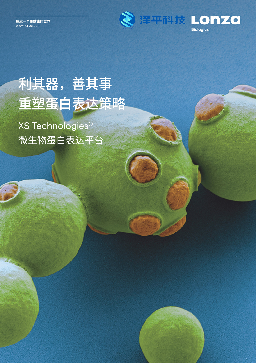龙沙Lo<i></i>nza XS毕赤酵母蛋白表达系统 微生物酵母真核基因表达载体