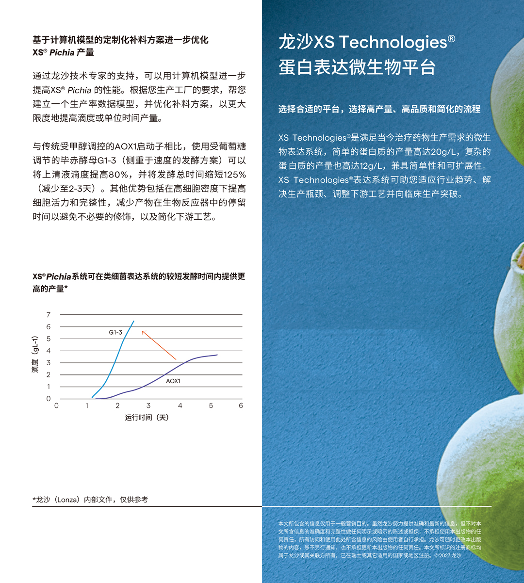 龙沙Lo<i></i>nza XS毕赤酵母蛋白表达系统 微生物酵母真核基因表达载体