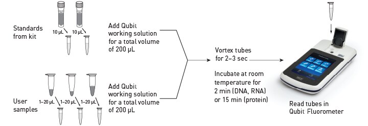Qubit定量检测流程