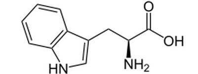 L-Tryptophan.jpg