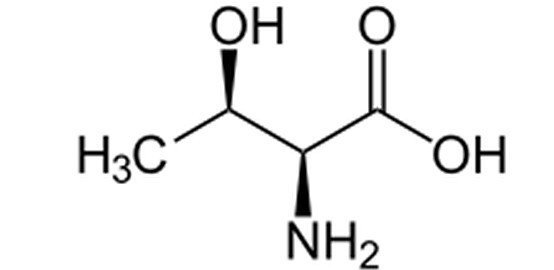 Threonine.jpg