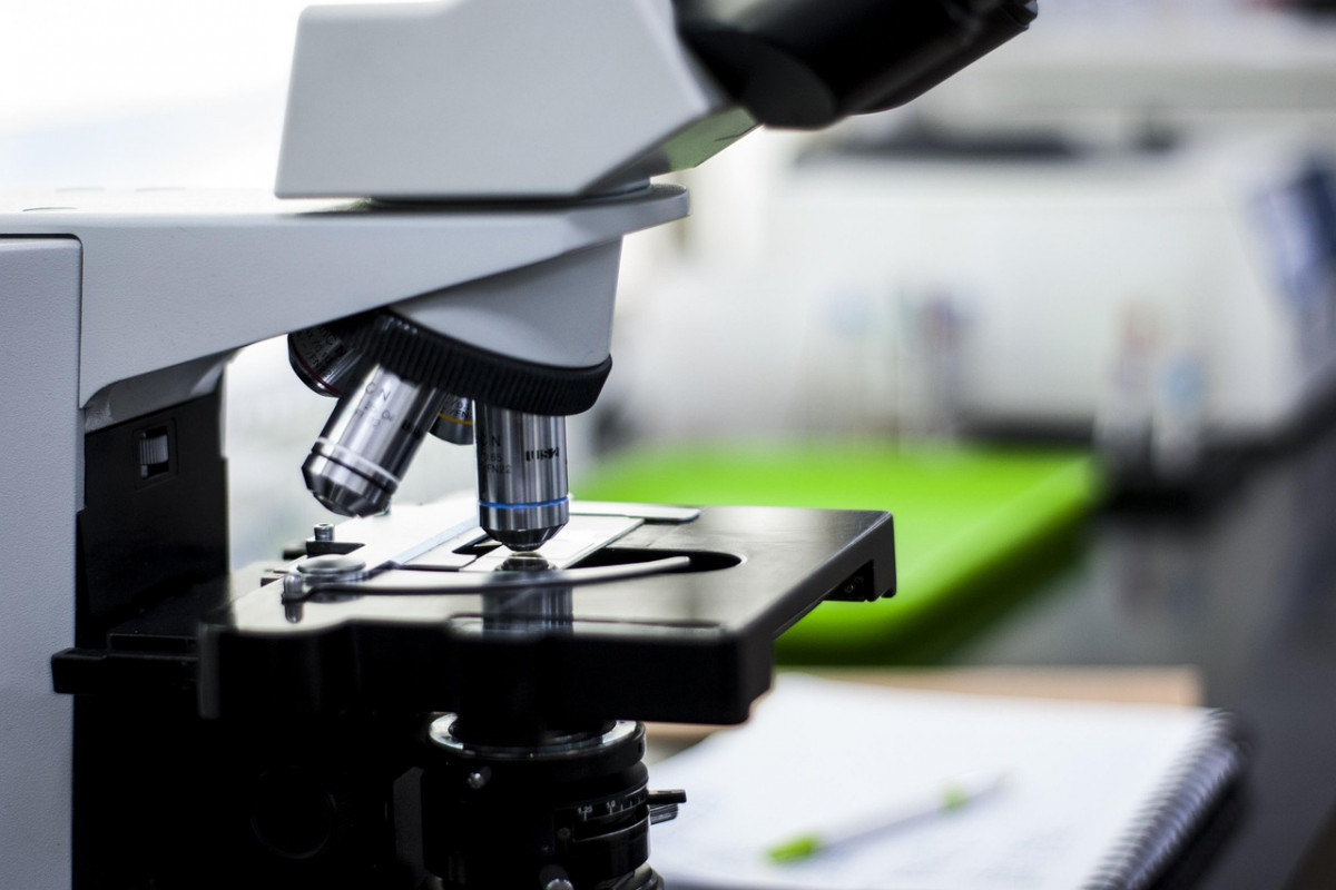 Mastering the Western Blot: A Practical Guide to Reproducible Results