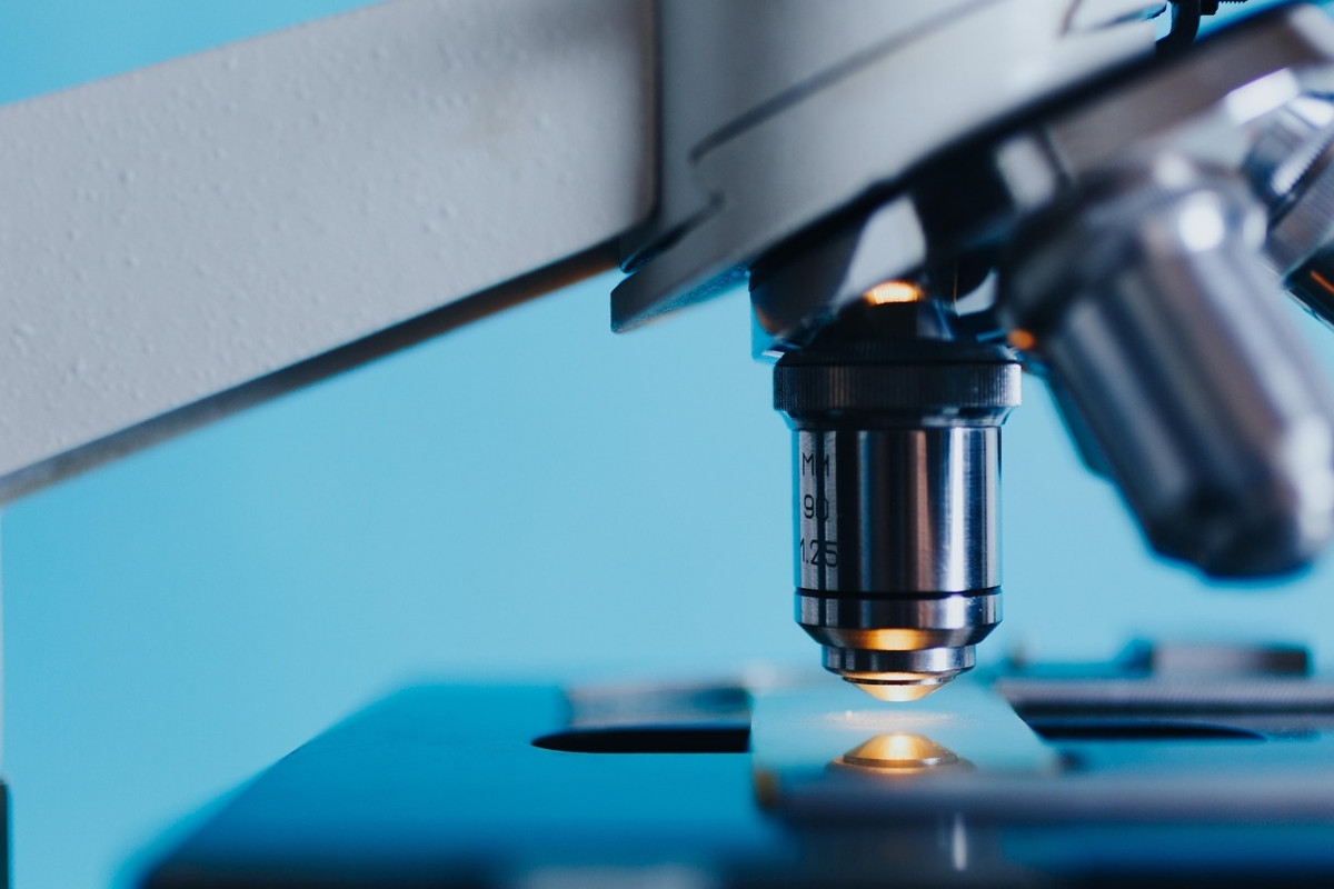 From Bench to Bedside: Why So Many Medical Innovations Fail to Reach Patients